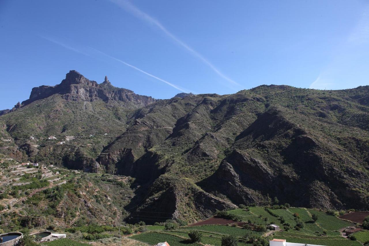 Vacacional La Tea The Best Location And The Best Views Tejeda  Εξωτερικό φωτογραφία